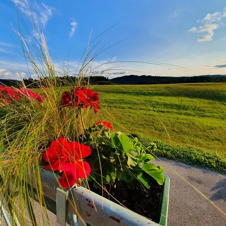 Apartma Sveti Duh Apartamento Nova Vas (Bloke)