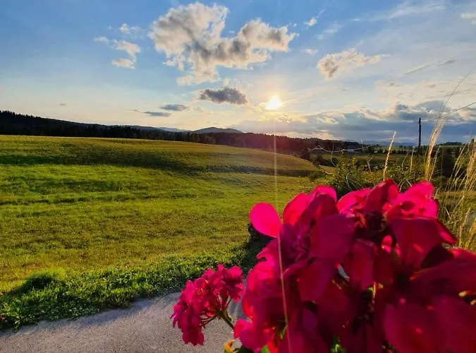 アパート Apartma Sveti Duh *