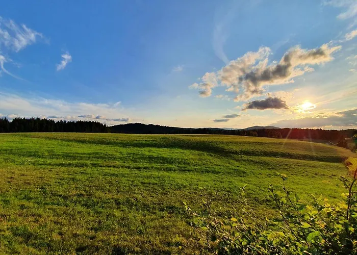 Apartma Sveti Duh アパート *