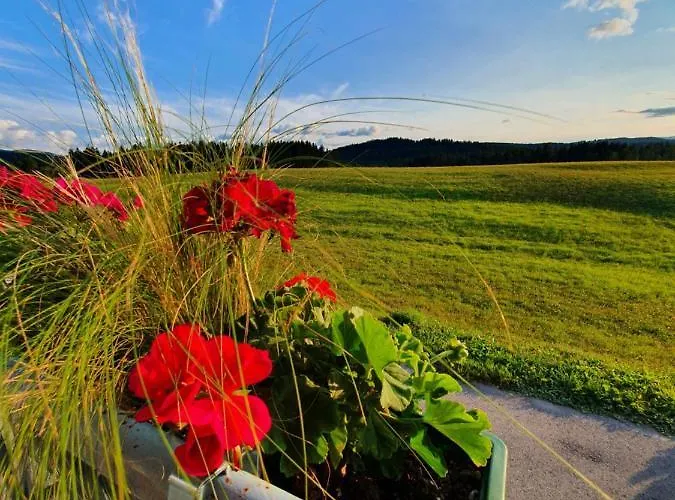 Apartma Sveti Duh アパート Nova Vas