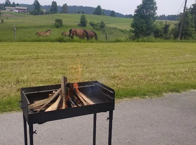 Apartma Sveti Duh アパート *